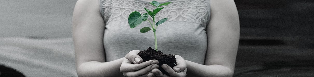 How demand in ESG is growing - in passive funds too